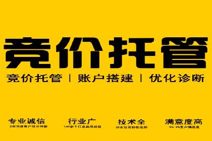 某电商平台的SEM竞价推广实践